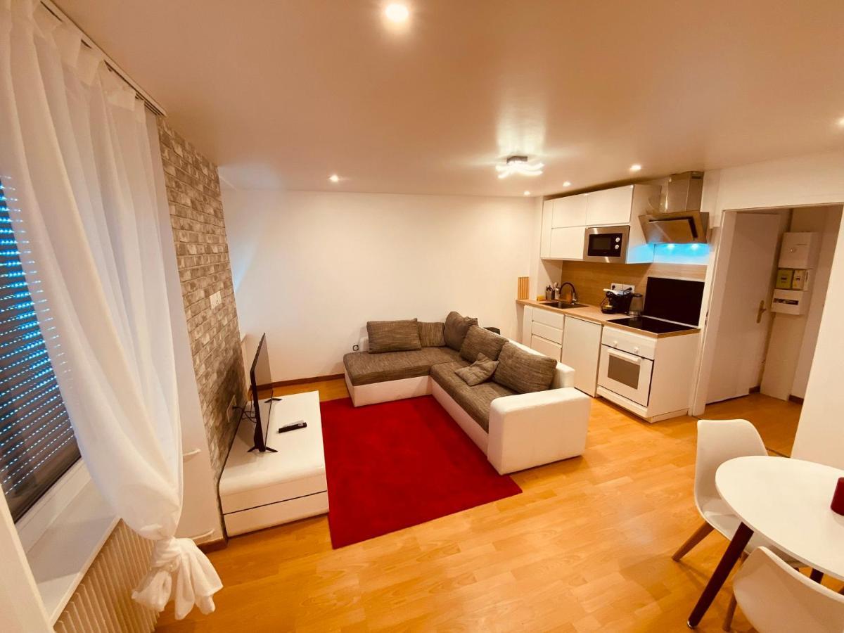 Apartament Petit Mulhouse 201 Zewnętrze zdjęcie