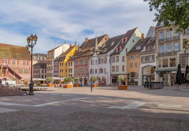 Apartament Petit Mulhouse 201 Zewnętrze zdjęcie